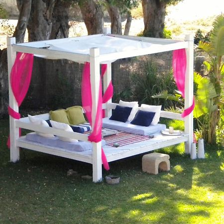Cortijo El Pozuelo ξενώνας Ταρίφα Εξωτερικό φωτογραφία