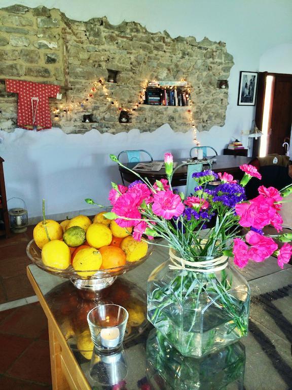 Cortijo El Pozuelo ξενώνας Ταρίφα Εξωτερικό φωτογραφία