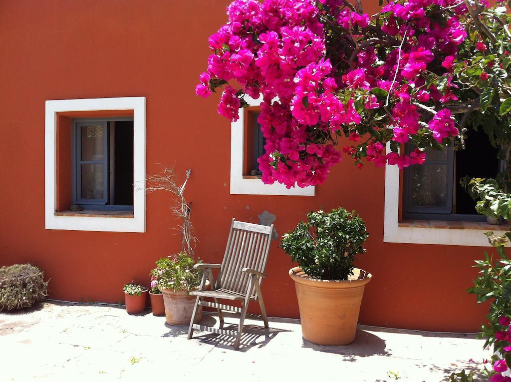 Cortijo El Pozuelo ξενώνας Ταρίφα Εξωτερικό φωτογραφία